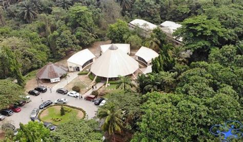 Een Verborgen Juweeltje: De Lekki Conservation Centre als Toevluchtsoord voor Rust en Natuurwonderen!