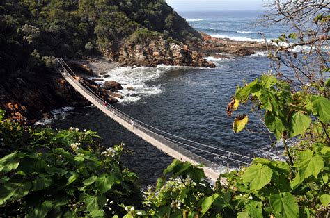 De Tsitsikamma Hangbrug: Een spectaculaire wandelervaring boven de wouden van het Tsitsikamma National Park!