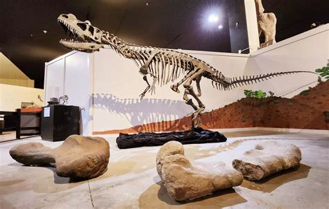  Het Dongying Dinosaur Museum: Een Roaring Goed Tijd voor Dinosaurusliefhebbers!