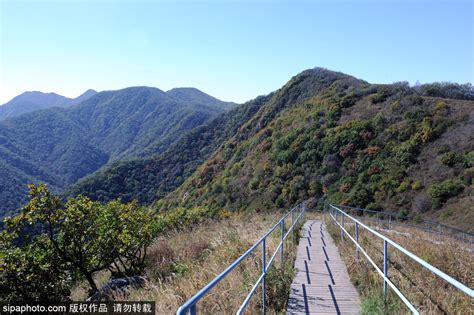  Het Zhayier Plateau: Een Paradijs voor Vogelkijkers en Wandelen in de Schoonheid van Zhangjiakou!